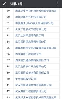 祝賀湖北47家企業成功通過信息系統集成資質壹級與貳級認證